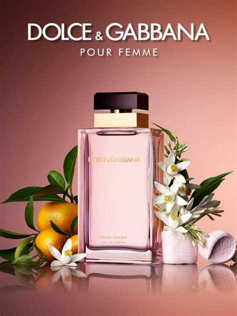 dolce gabbana pour femme 1|dolce gabbana pour femme discontinued.